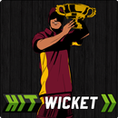 Hit Wicket Cricket - West Indies League Game APK