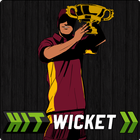 Hit Wicket Cricket - West Indies League Game-icoon