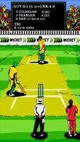 Hit Wicket Cricket - West Indies League Game screenshot 1