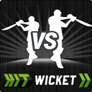 Hit Wicket Cricket - Champions League Game APK