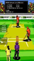 Hit Wicket Cricket - Champions League Game poster