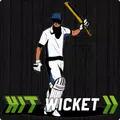 Hit Wicket Cricket - English County League Game