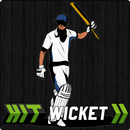 Hit Wicket Cricket - English County League Game APK