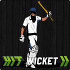 Icona Hit Wicket Cricket - English County League Game