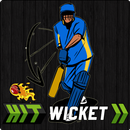Hit Wicket Cricket 2018 - Indian League Game APK