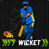Hit Wicket Cricket 2018 - Indian League Game 아이콘
