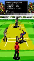 Hit Wicket Cricket 2018 - Indian League Game Plakat