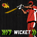 Hit Wicket Cricket 2018 - World Cup League Game APK