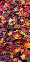 Autumn Wallpapers HD App 스크린샷 2