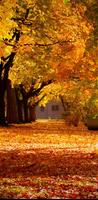 Autumn Wallpapers HD App 스크린샷 3
