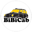 BiBiCab водитель