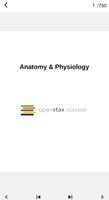 Book Anatomy and physiology Affiche