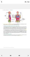 Book Anatomy and physiology capture d'écran 2