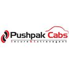 Pushpak Cabs Driver icône