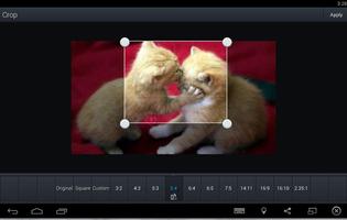 Edit Foto Android iPhotoEditor screenshot 3