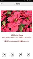 Chinese Medicinal Plants Guide تصوير الشاشة 2