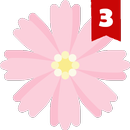 Қиссаҳои исломӣ 3. Китобҳо APK