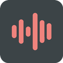 Voice Recorder - Audio Recorder, Sound Recorder APK