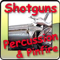 Percussion & pinfire shotguns