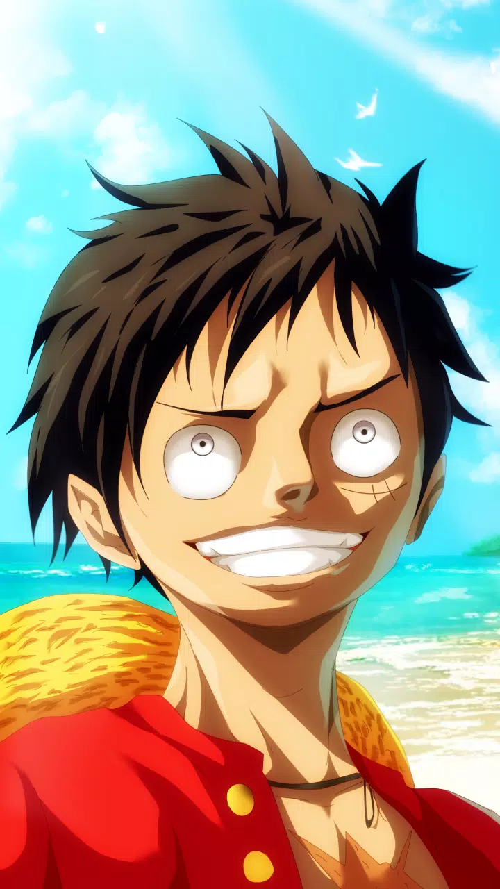 Anime Pirate Wallpaper Hd Apk For Android Download