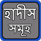 নির্বাচিত বাংলা হাদিস icon