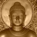 Buddha Quotes & Buddhism (Pro) APK