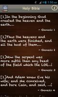 Holy Bible KJV Poster