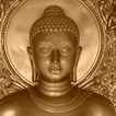 Buddha Quotes & Buddhism Free!