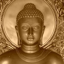 Buddha Quotes & Buddhism Free! APK