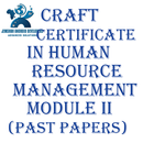 APK CRAFT2 IN HUMAN RESOURCE PAPER