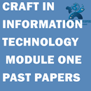 APK CRAFT IN  INFORMATION TECHNOLOGY  MODULE TWO PAPER