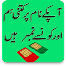 Pak Sims Checker with CNIC APK