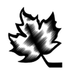 CSSHL