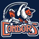 Bakersfield Condors APK