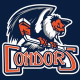 Bakersfield Condors APK