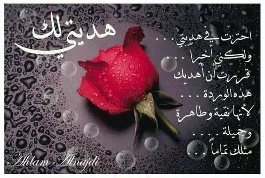 Screenshot 16 for رسائل و كلمات حب