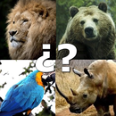 Animals Quiz Juego de animales APK