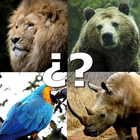 Animals Quiz Juego de animales icône