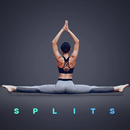 Splits in 30 Days - Stretching APK