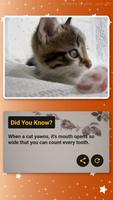 Cat Facts imagem de tela 1
