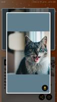Cat Facts imagem de tela 2