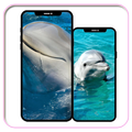 Dolphins Wallpaper