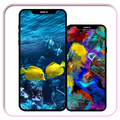 Fish Wallpaper