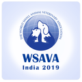WSAVAIndia2019