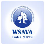 WSAVAIndia2019