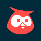 Hootsuite-icoon