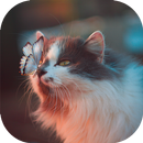 Cute Animals Wallpapers-APK