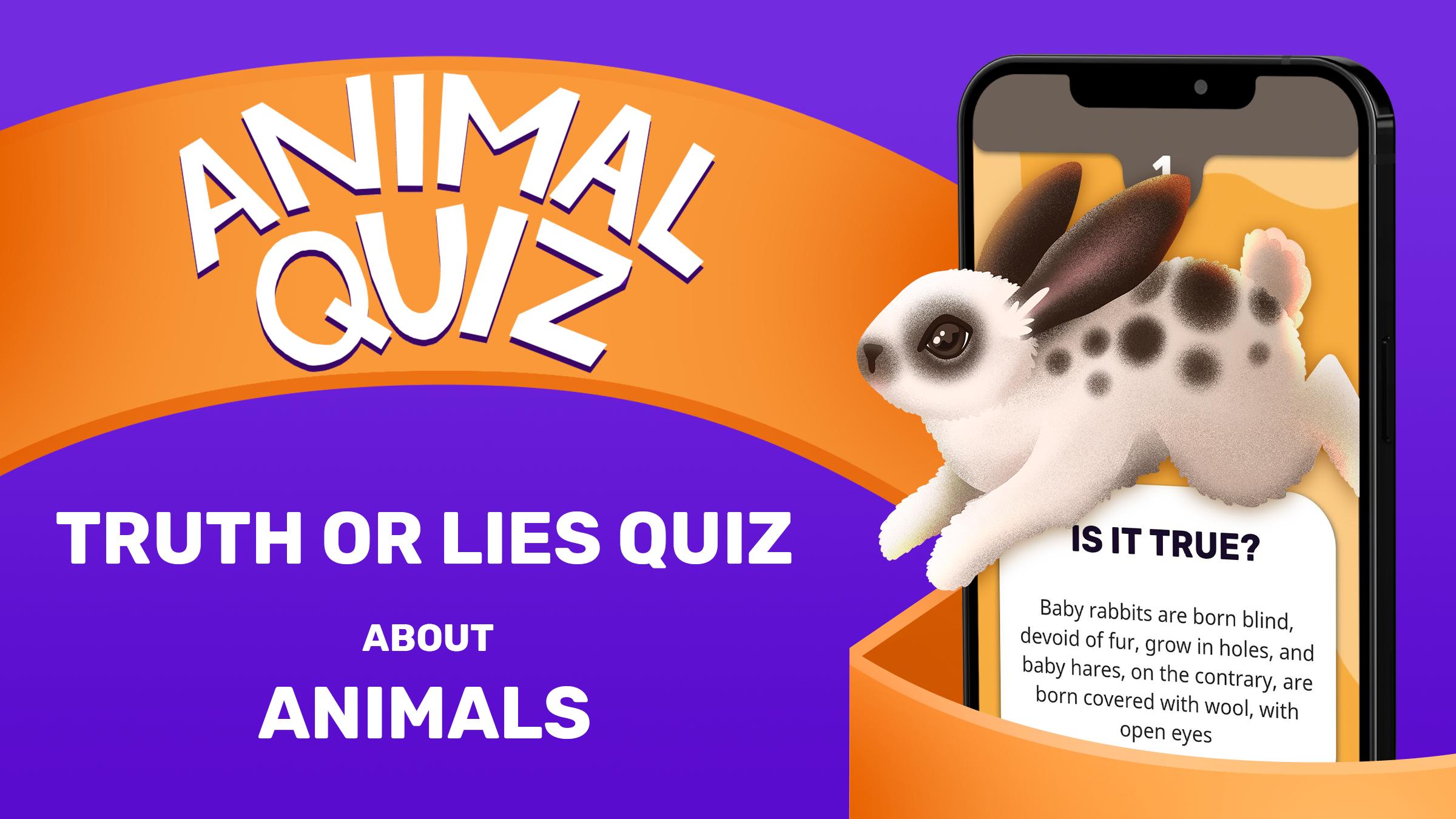 Квиз животные. Animal Quiz.