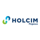 Pegasus icon