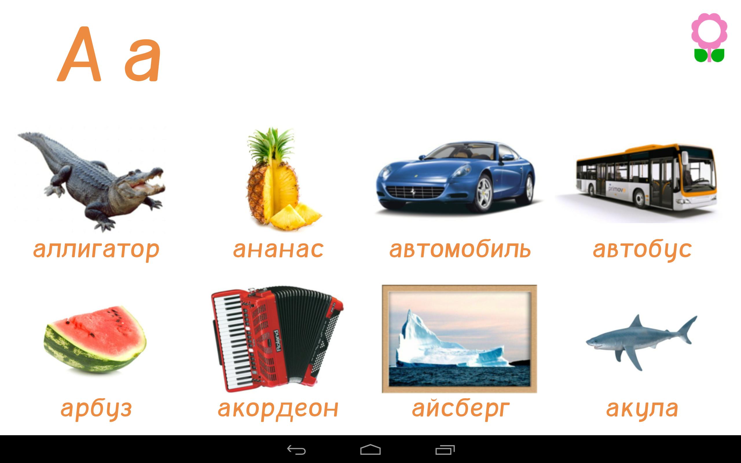 Автобус Арбуз